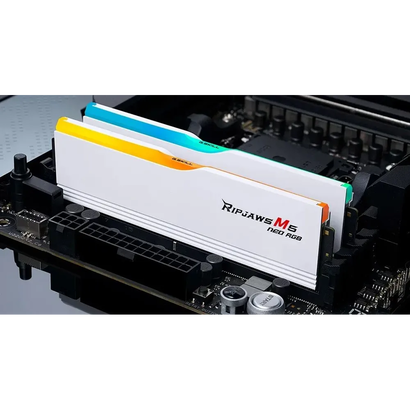 DDR5 2x32Gb 6000MHz G.Skill F5-6000J3040G32GX2-RM5RW